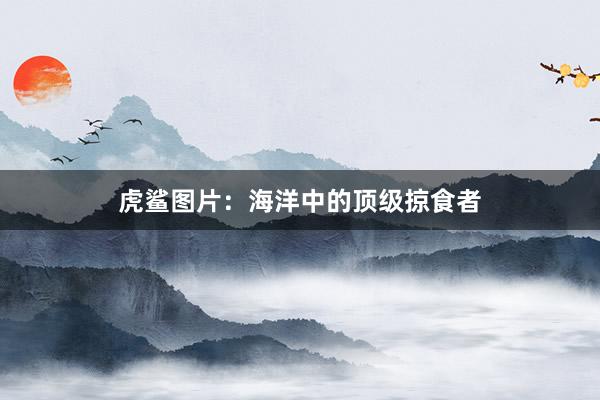 虎鲨图片：海洋中的顶级掠食者