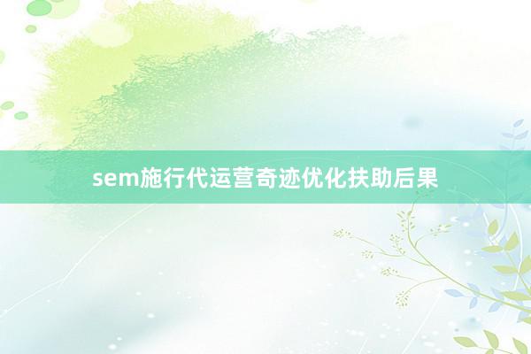 sem施行代运营奇迹优化扶助后果